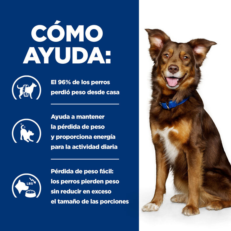 Hill's Prescription Diet Metabolic Pollo lata para perros, , large image number null